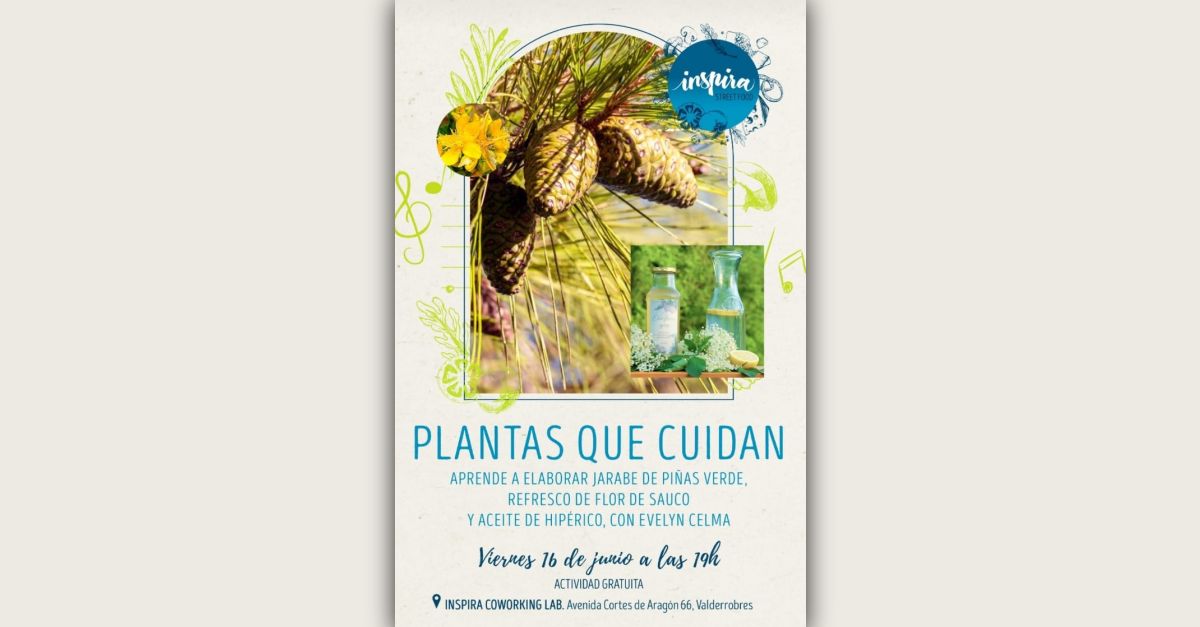Taller: Plantes que tenen cura Taller: Plantes que tenen cura