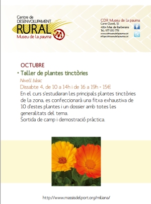 Taller de plantes tinctòries Taller de plantes tinctòries