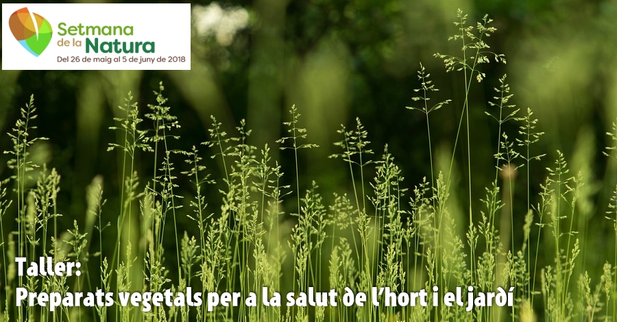 Taller: Preparats vegetals per a la salut de l�hort i el jard�