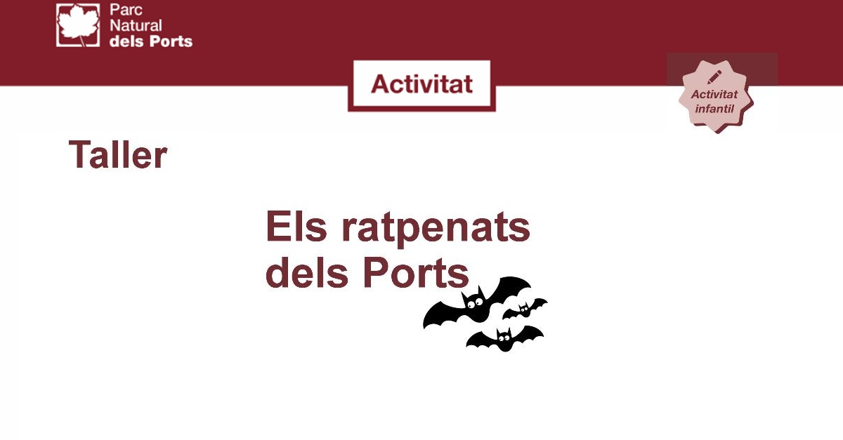 Taller Els ratpenats dels Ports Taller Els ratpenats dels Ports