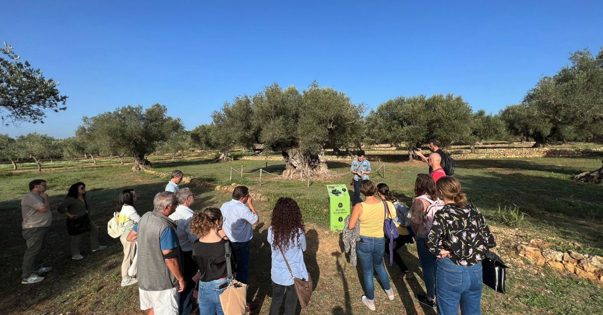 IV Taller Transnacional VALSIPAM al Territori Snia | EbreActiu.cat, revista digital d’oci actiu | Terres de l’Ebre ...