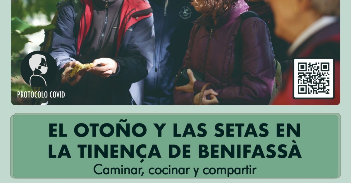 La tardor i els bolets a la Tinen�a de Benifass�