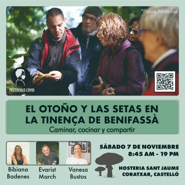 La tardor i els bolets a la Tinen�a de Benifass�