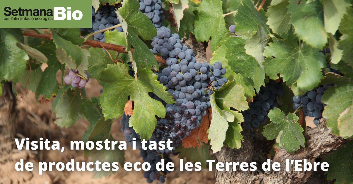 Setmana BIO: Visita, mostra i tast de productes eco de les Terres de l�Ebre