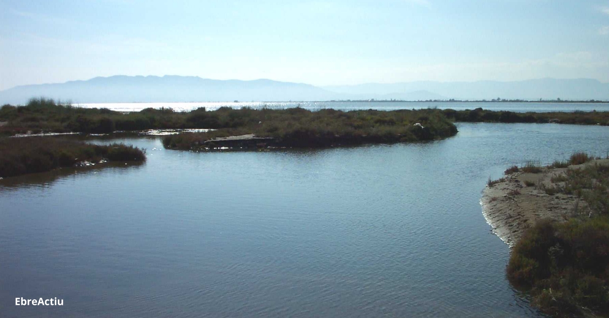 La Taula de Consens s’oposar al definitiu Pla de protecci del Delta si no contempla les propostes del territori