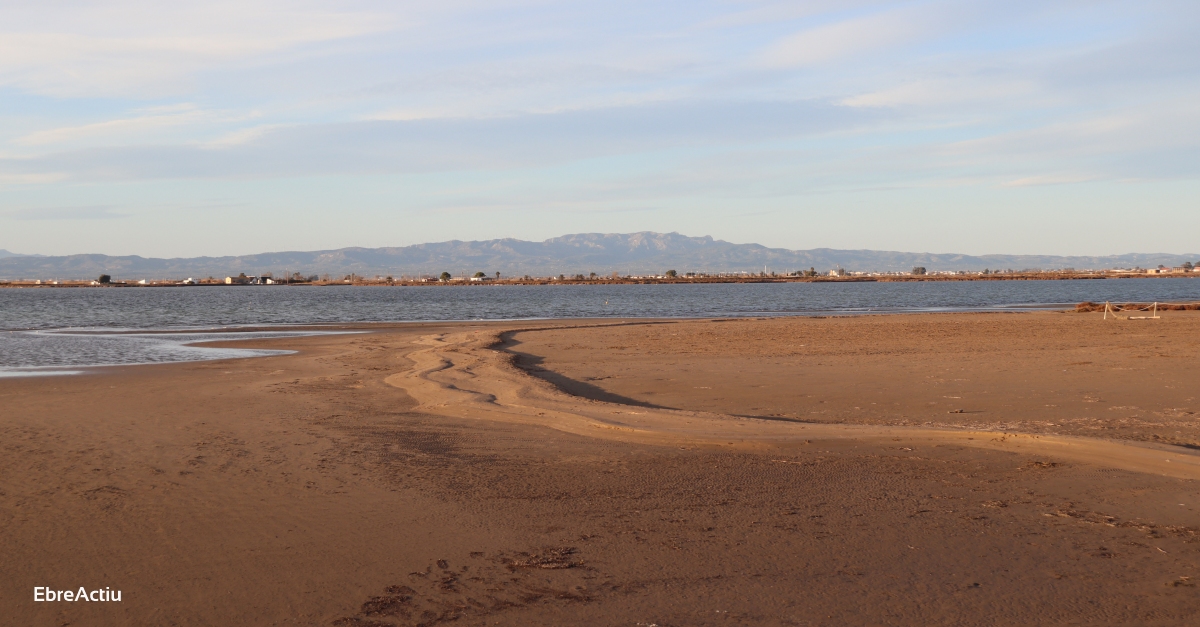 La Taula de Consens proposa combinar moviments de sorres i arribada de sediments per preservar el delta de l’Ebre