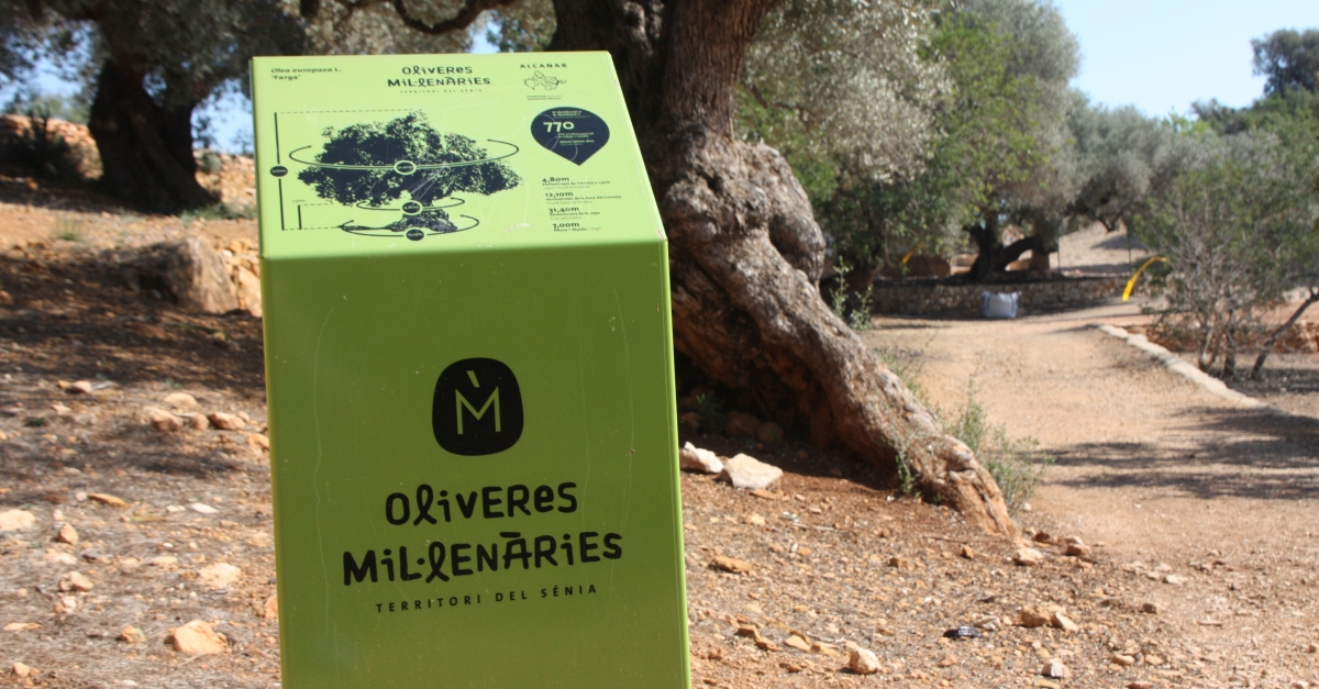 La Taula del Sénia aprova un pressupost de més de 530.000 per a 2021 | EbreActiu.cat, revista digital d’oci actiu | Terres de l’Ebre ... La Taula del Sénia aprova un pressupost de més de 530.000 per a 2021 | EbreActiu.cat, revista digital d’oci actiu | Terres de l’Ebre ...