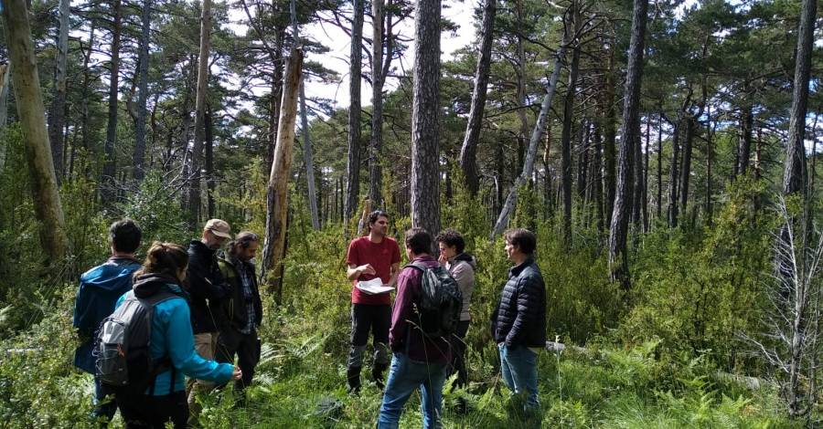 Tres finques al Parc Natural dels Ports apliquen tcniques silvcoles innovadores per a millorar la conservaci dels boscos