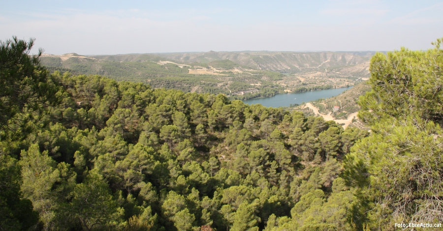 Catalunya ha viscut l�onada de calor m�s intensa des del juliol de 2015