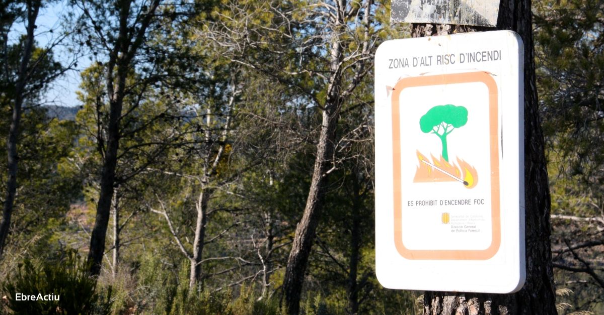 A partir d’avui comena la prohibici de fer foc al bosc