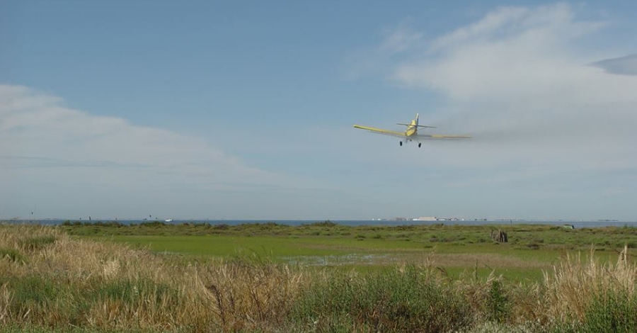 Tercer tractament dirigit a les larves dels mosquits | EbreActiu.cat, revista digital d’oci actiu | Terres de l’Ebre ... Tercer tractament dirigit a les larves dels mosquits | EbreActiu.cat, revista digital d’oci actiu | Terres de l’Ebre ...