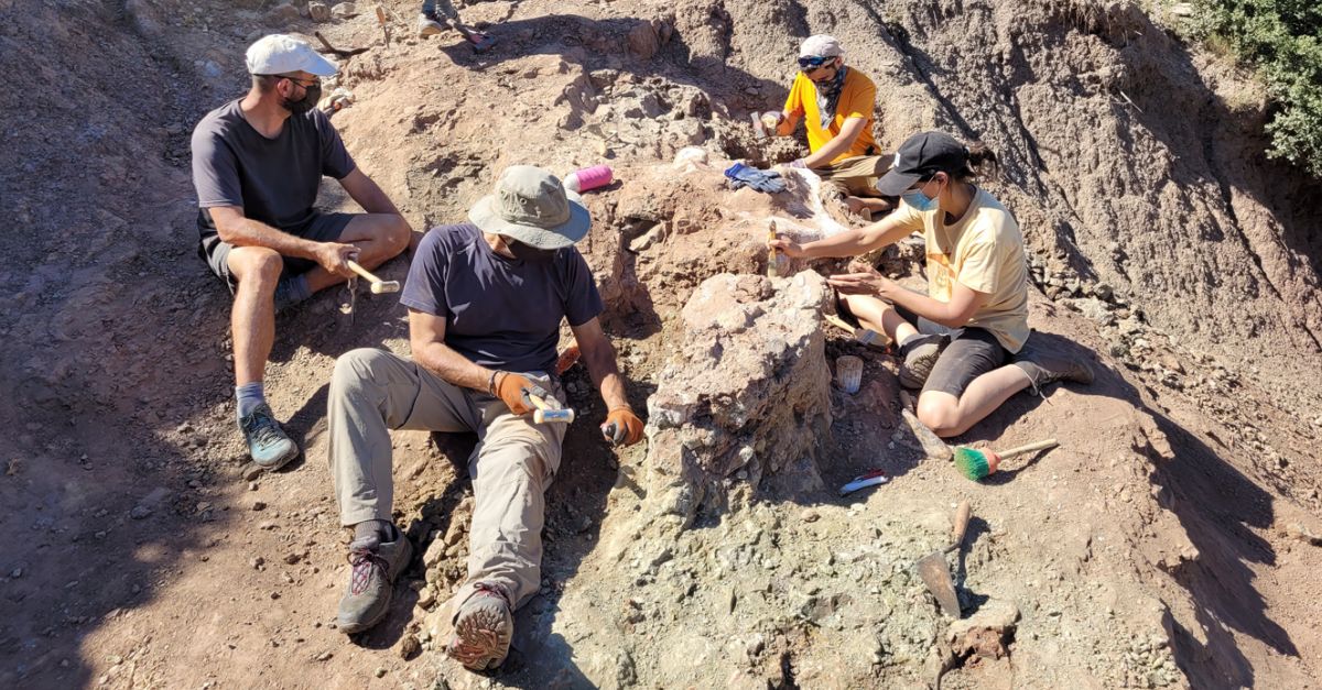 Tercera campanya d’excavacions paleontolgiques al Mas de Romeu de Morella | EbreActiu.cat, revista digital d’oci actiu | Terres de l’Ebre ...