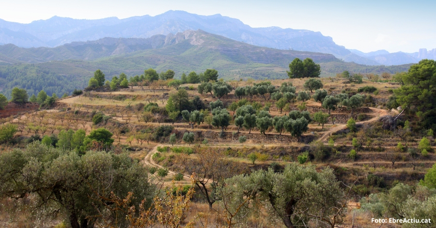 La Terra Alta protagonitza aquest novembre la campanya La comarca del mes