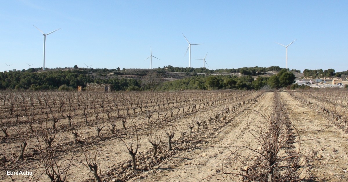 La Terra Alta es mobilitza davant la imminent construcci de dos nous parcs elics
