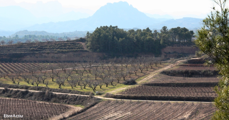 La Terra Alta acollirà la I Jornada Professional de Turisme | EbreActiu.cat, revista digital d’oci actiu | Terres de l’Ebre ... La Terra Alta acollirà la I Jornada Professional de Turisme | EbreActiu.cat, revista digital d’oci actiu | Terres de l’Ebre ...