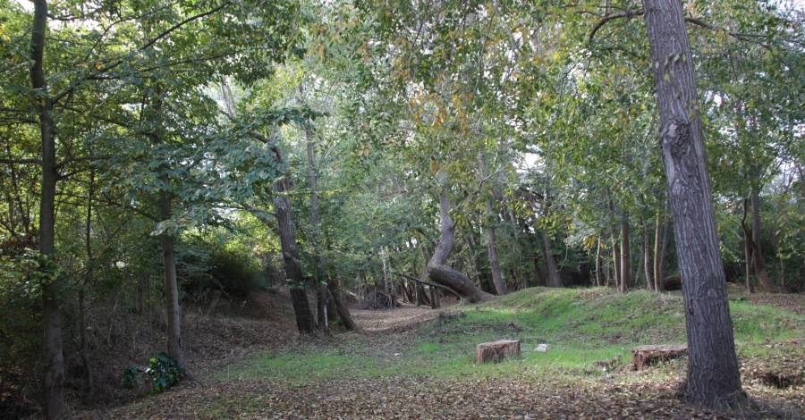 Les Terres de l�Ebre se sumen al �Let�s Clean Up Europe!� amb 8 accions de neteja d�espais naturals  