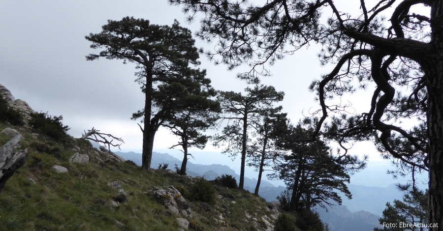 Les Terres de lEbre tornen a ser escollides una de les 100 millors destinacions sostenibles del mn