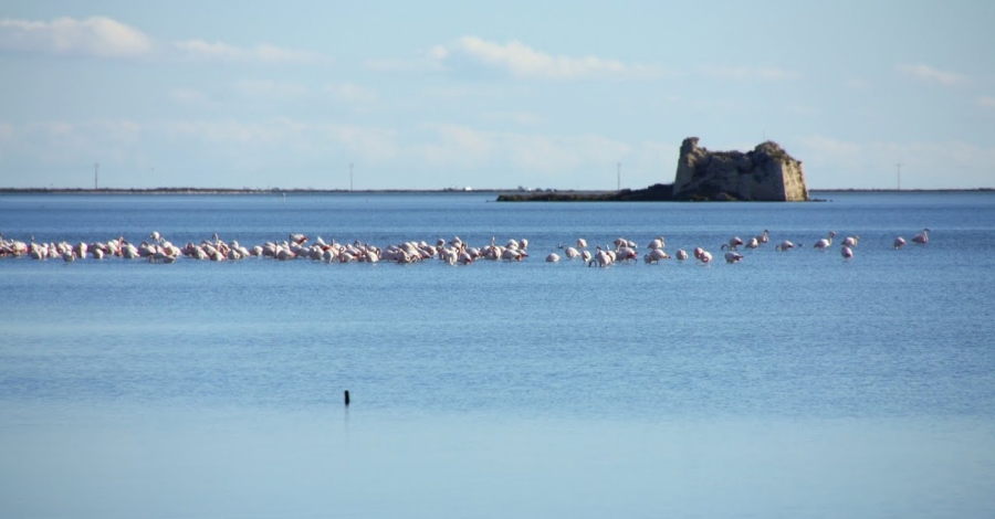 Les Terres de l�Ebre, guardonada com una de les 100 millors destinacions sostenibles del m�n