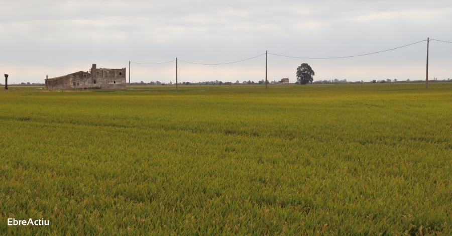 El Terres Travel Festival - Films & Creativity s’ajorna al setembre | EbreActiu.cat, revista digital d’oci actiu | Terres de l’Ebre ... El Terres Travel Festival - Films & Creativity s’ajorna al setembre | EbreActiu.cat, revista digital d’oci actiu | Terres de l’Ebre ...