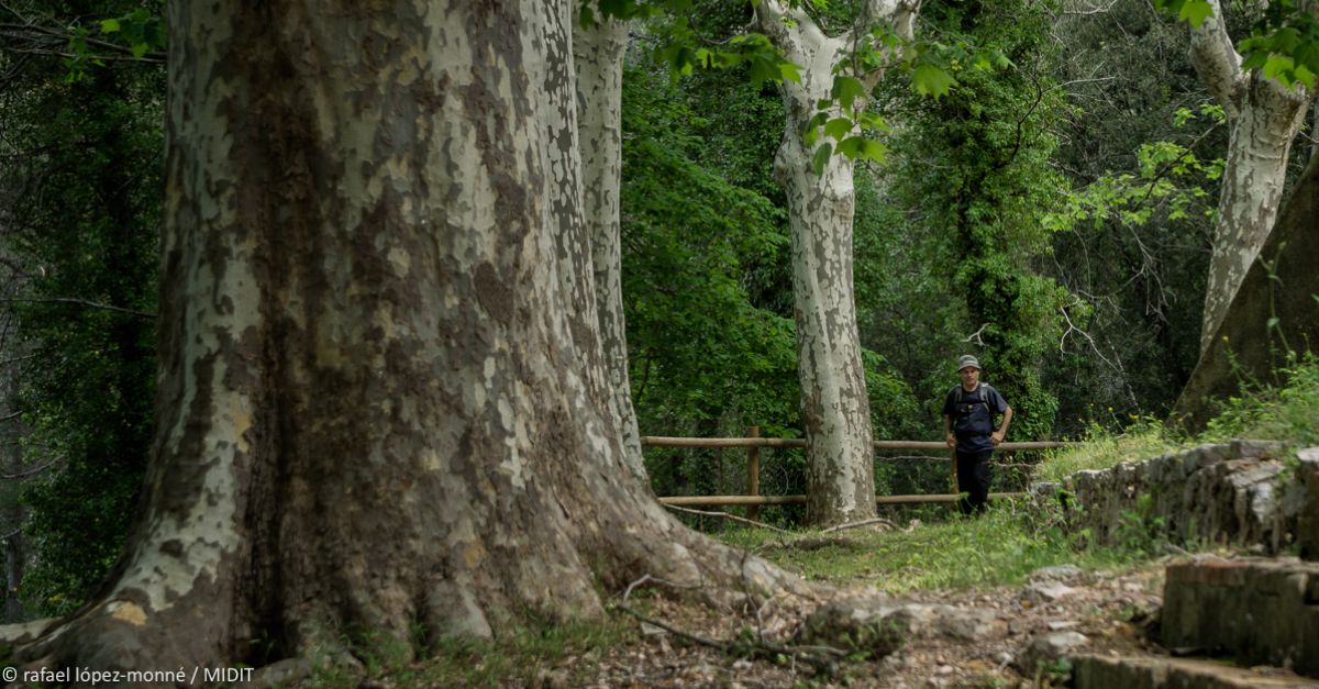 Les Terres de Mestral rebran prop de 1,9 milions d’euros per potenciar el turisme actiu i de natura | EbreActiu.cat, revista digital d’oci actiu | Terres de l’Ebre ...