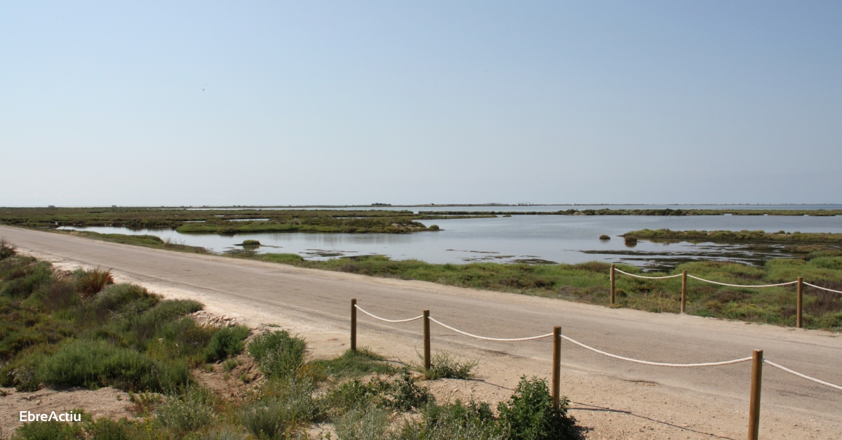 Territori i Sostenibilitat presenta les aportacions al Pla estatal per a la protecci del Delta de l’Ebre