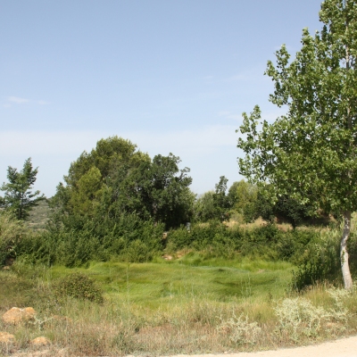 Celebrat el IV Testing de Biodiversitat de les Terres de l&rsquo;Ebre.