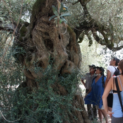 Celebrat el IV Testing de Biodiversitat de les Terres de l&rsquo;Ebre.