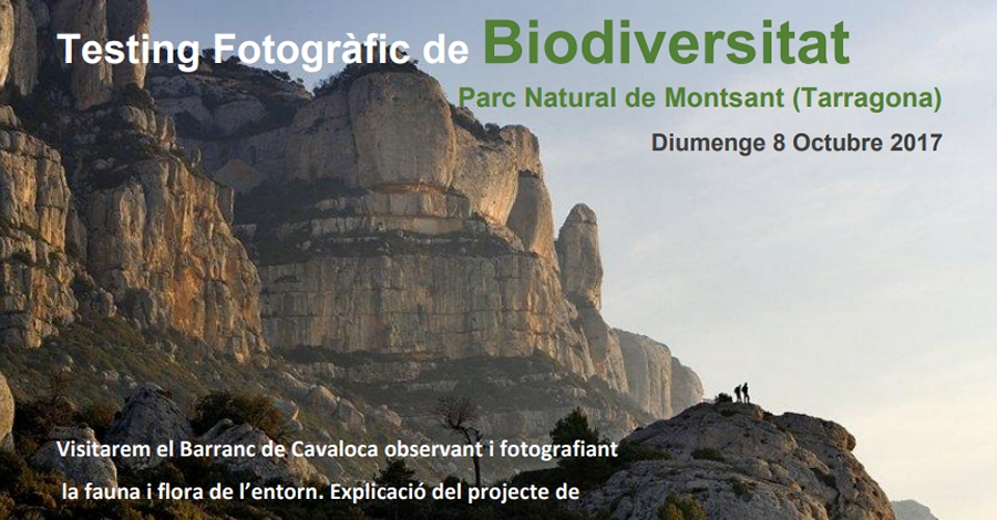 Testing Fotogr�fico de Biodiversidad al Parque Natural de la Serra de Montsant 