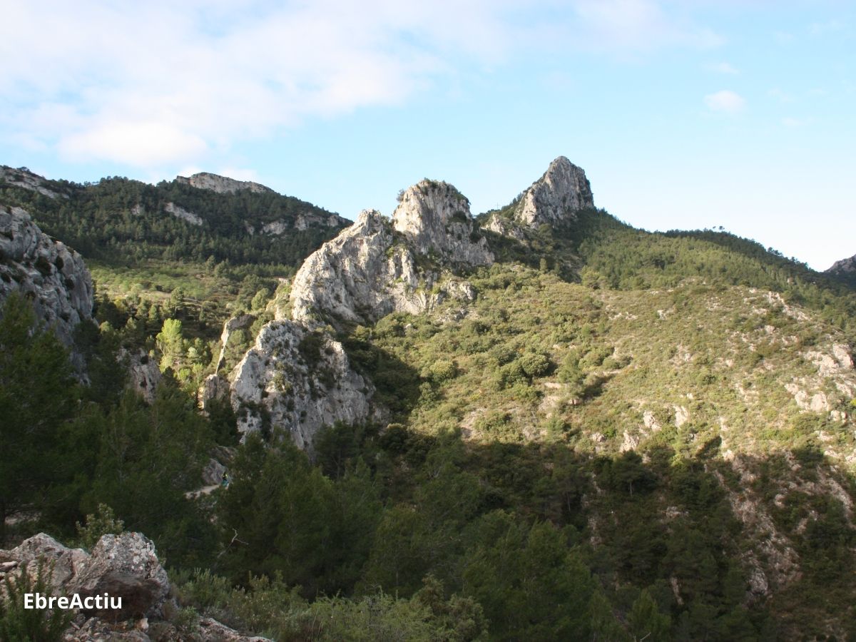 Tivissa, muntanyes d&rsquo;hist�ria | EbreActiu.cat, revista digital d&rsquo;oci actiu | Terres de l&rsquo;Ebre ...