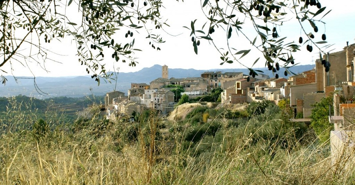 Tivissa, muntanyes d&rsquo;hist�ria | EbreActiu.cat, revista digital d&rsquo;oci actiu | Terres de l&rsquo;Ebre ...