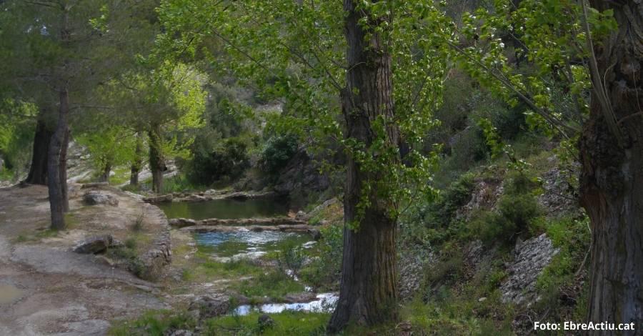 Tivissa acull aquest diumenge el 54 Dia del Cam de Muntanya de la IV Vegueria