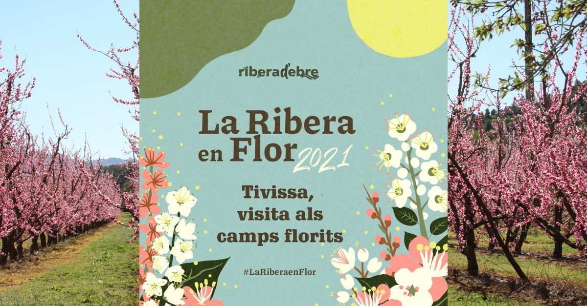 Tivissa, visita als camps florits #LaRiberaenFlor Tivissa, visita als camps florits #LaRiberaenFlor