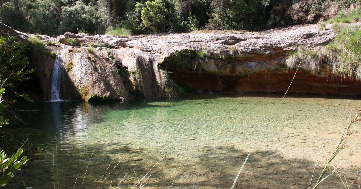 El Parc Natural dels Ports organitza una campanya dinformaci i sensibilitzaci en tres zones de bany de la Terra Alta