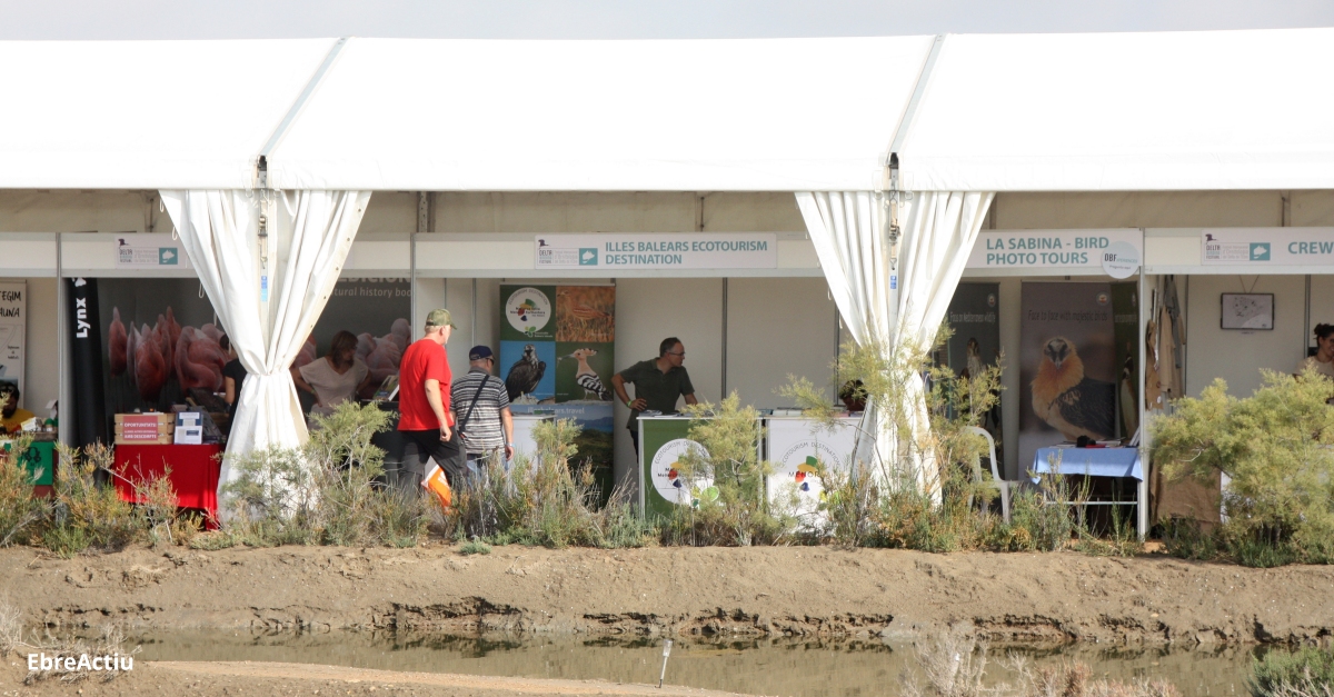 Torna el Delta Birding Festival