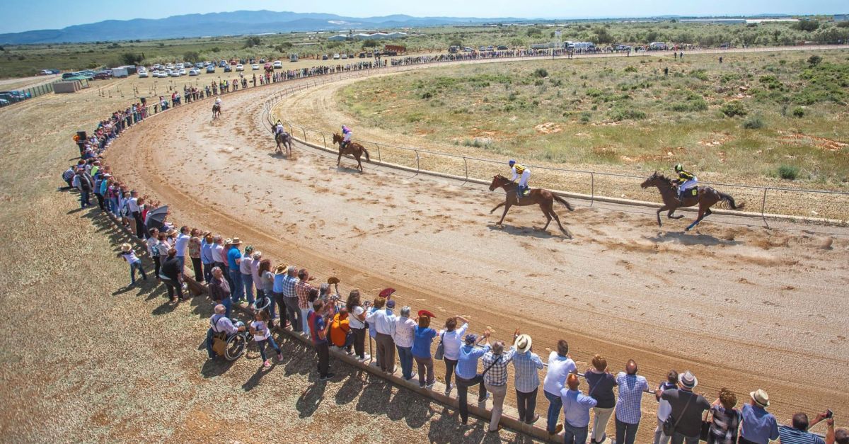 Torna la Fira Gastronmica de la Snia, la fira que promociona dels productes alimentaris artesans i de proximitat | EbreActiu.cat, revista digital d’oci actiu | Terres de l’Ebre ...