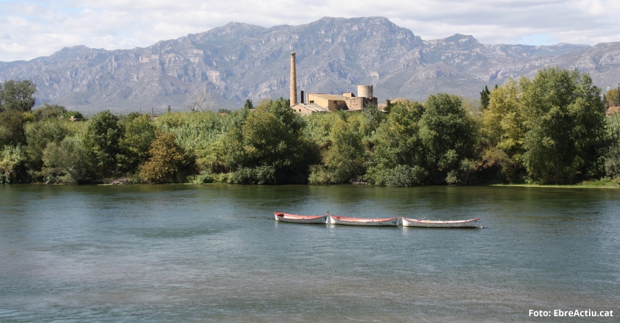 De la terra de l’arrs a la terra del vi navegant per l’Ebre | EbreActiu.cat, revista digital d’oci actiu | Terres de l’Ebre ...
