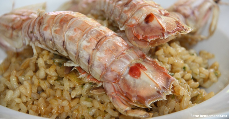 Tornen les Jornades Gastronmiques de la Galera