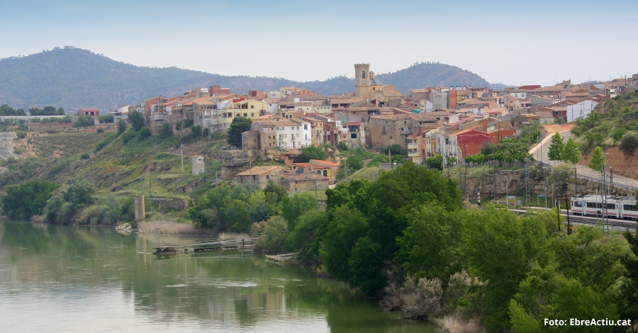 Tot a punt per celebrar la II Festa de lOli de Ginebre