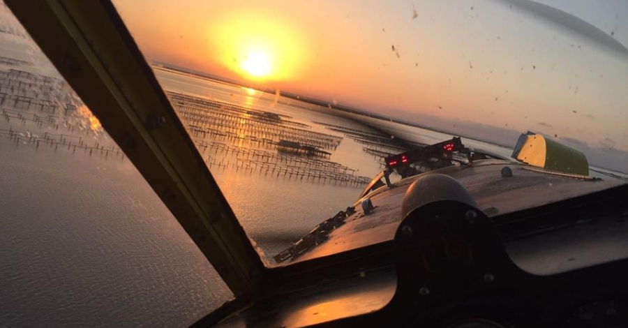 Segon tractament contra les larves dels mosquits | EbreActiu.cat, revista digital d’oci actiu | Terres de l’Ebre ... Segon tractament contra les larves dels mosquits | EbreActiu.cat, revista digital d’oci actiu | Terres de l’Ebre ...