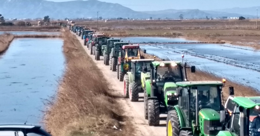 Ms de 200 tractors convocats per Uni de Pagesos es manifesten a Deltebre en defensa del Delta 