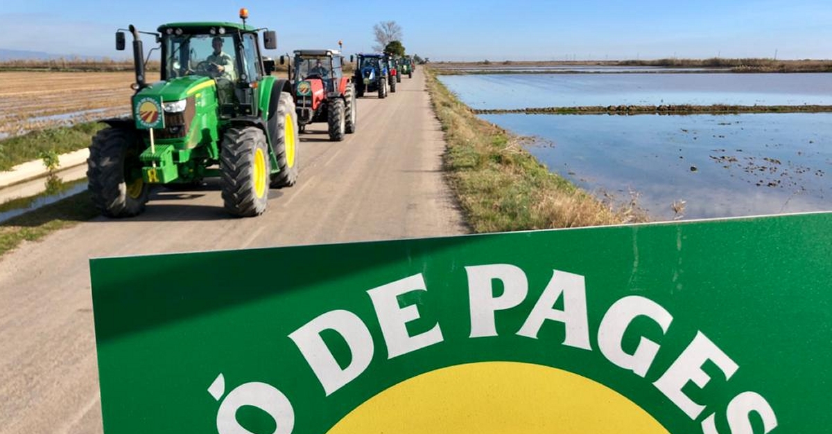 Una dotzena de tractorades reclamaran dilluns 21 de desembre mesures urgents per a la pagesia