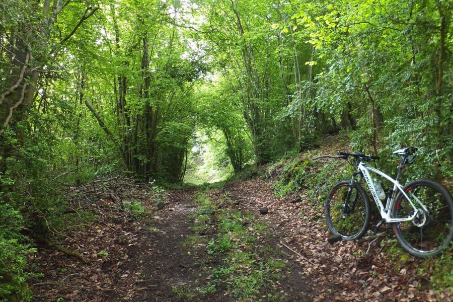 GUIES BTT - TRANS TERRA ALTA | EbreActiu.cat, revista digital de ocio activo | Terres de l&rsquo;Ebre...