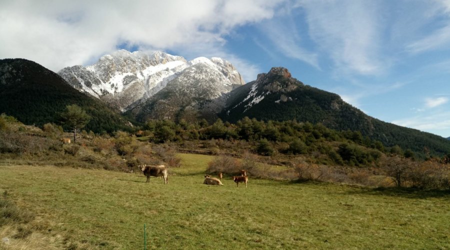 La Trans Pedraforca en BTT | EbreActiu.cat, revista digital d&rsquo;oci actiu | Terres de l&rsquo;Ebre ...