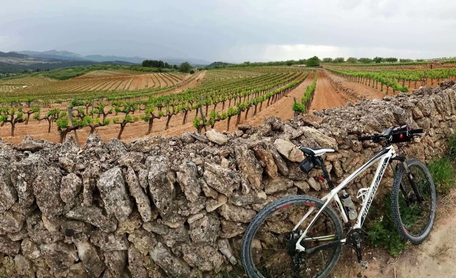 GUIES BTT - TRANS TERRA ALTA | EbreActiu.cat, revista digital d’oci actiu | Terres de l’Ebre ...