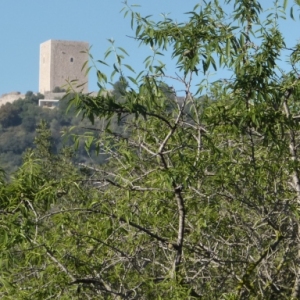 �lbum: Travessa de la serra de Godall