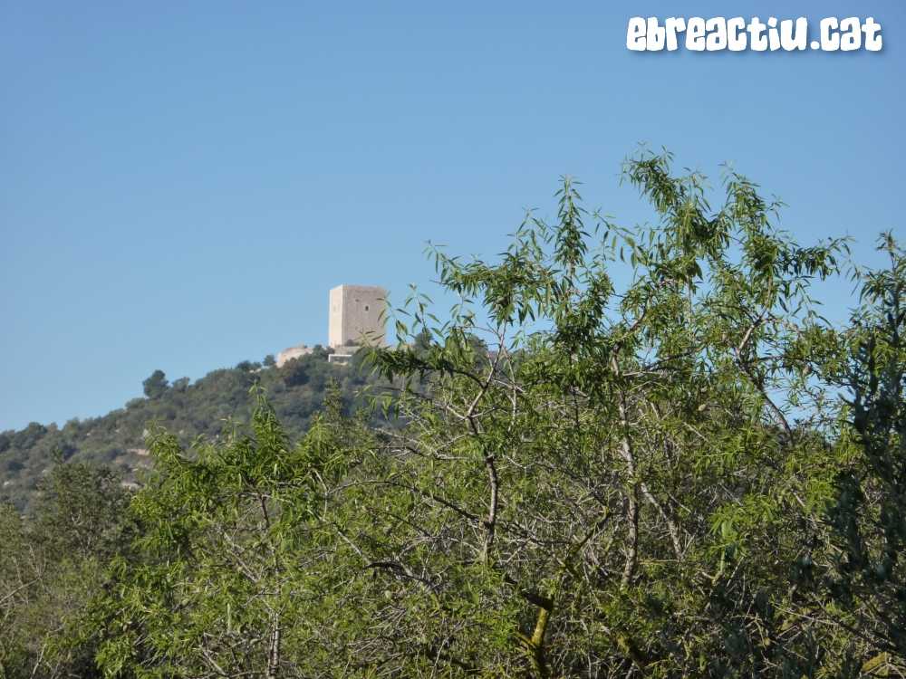 Travessa de la serra de Godall (SO-NE): d&rsquo;Ulldecona al Cam� Vell | EbreActiu.cat, revista digital d&rsquo;oci actiu | Terres de l&rsquo;Ebre ...