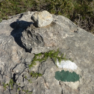 �lbum: Travessa de la serra de Godall