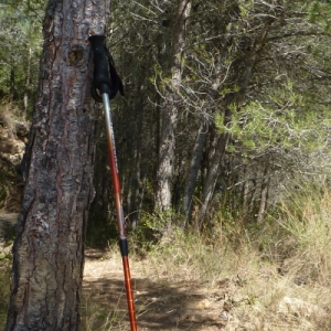 �lbum: Travessa de la serra de Godall