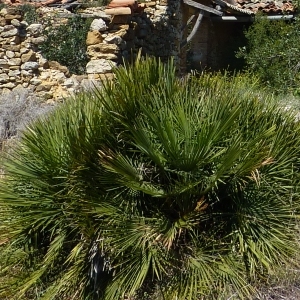 �lbum: Travessa de la serra de Godall