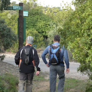 �lbum: Travessa de la serra de Godall